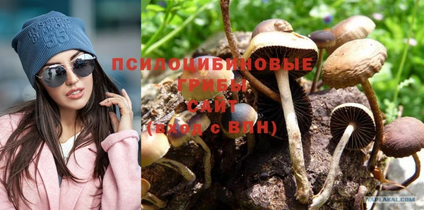 эйфоретик Белокуриха