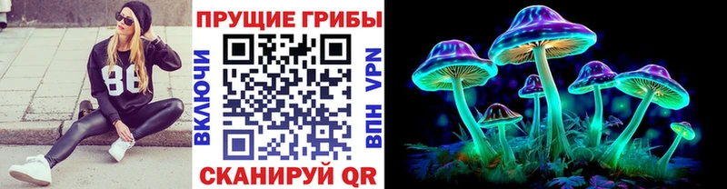 OMG зеркало Славгород Галлюциногенные грибы Magic Shrooms