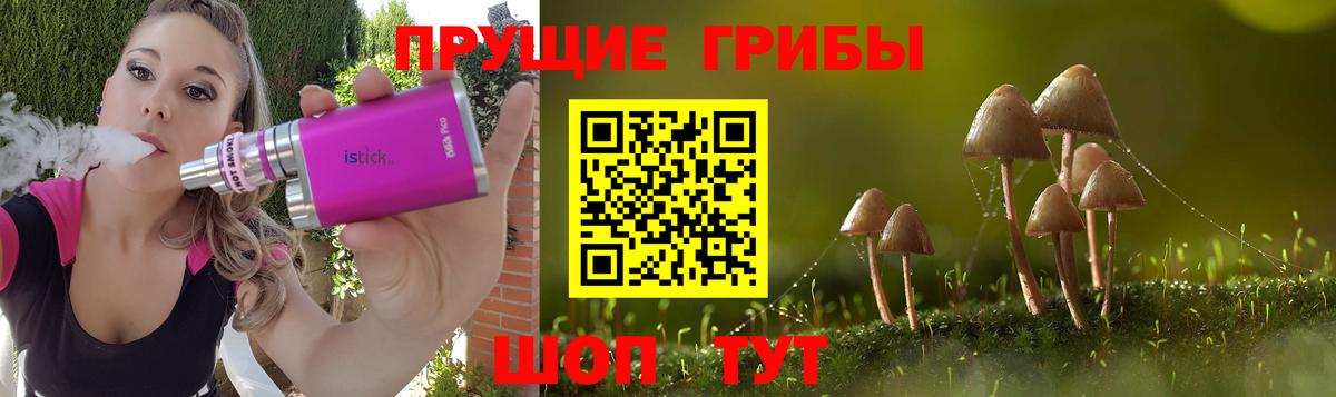 Славгород  Псилоцибиновые грибы Psilocybine cubensis  Вход с VPN 